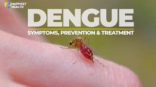 Dengue: Symptoms, prevention and treatment