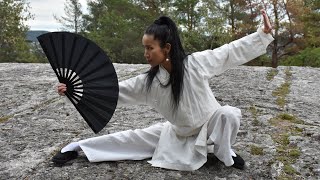 Kung Fu Seminar by Shifu Yan Fei