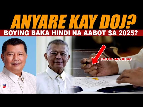 ANO NGA BA ANG TOTOONG NANGYARE KAY BOYING REMULLA? BAKIT AYAW PAG MAG RESIGN