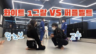 주짓수 초보의 스파링 ( 흰띠1그랄 vs 퍼플벨트 )