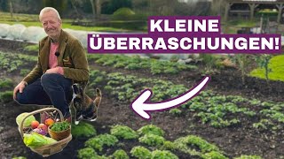 Januarsonne für Ihre Homeacres-Tour