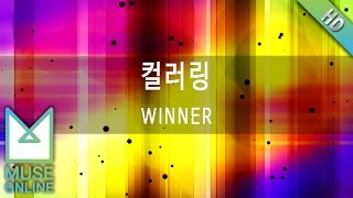 [뮤즈온라인] WINNER - 컬러링