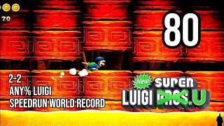 NSLU - 2-2 Any% Luigi Speedrun World Record (80 = 20)