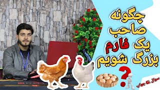 چگونه صاحب یک فام مرغداری بزرگ شویم؟ و از کجا آغاز کنیم || شرکت مرغداری فقیری