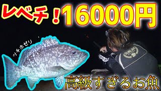 キロ単価１６０００円の高級魚を釣りました【所持金0釣り生活 in 伊平屋島 #5】