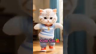 Cat funny dance 🤣📷 #catshorts