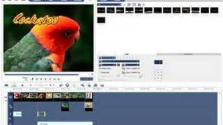 Ulead VideoStudio Video Tutorial - Ripple Editing