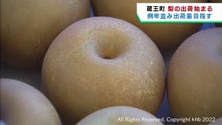 秋の味覚　宮城・蔵王町で梨の出荷　宮城・大崎市では新米の等級検査