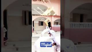 madarsa becha video| #viral #islam #@Alivlogs952