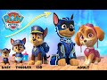 PAW Patrol Growing Up New Full | Sweet Wow