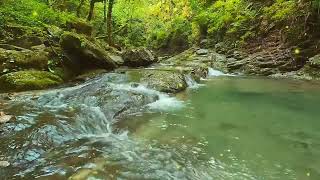 Entspannungsmusik - Klavier und Panflöte mit Wald und Wasser, Einschlafmusik mit Naturgeräuschen