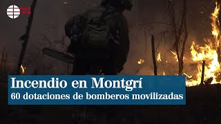 Unas 60 dotaciones de bomberos continúan trabajando en incendio de Montgrí