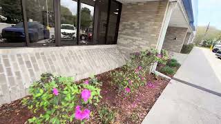 Usps Palatka Fl