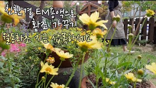 sub)친환경가드닝으로 지구에게 칭찬 받기/EM용액을 이용한  친환경 식물관리/초가을은 삽목의 최적기/지금 삽목으로 봄에 예쁜꽃 감상하세요.