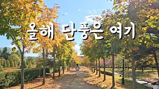 설악산만큼이나 좋은, 평창 단풍명소 TOP3 (1박2일 평창 단풍여행)