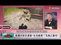 【精選】普丁靠意志力守護世界和平！？拜登頻踩俄羅斯紅線「第三次大戰一觸即發」...烏克蘭潰不成軍無力收復失土「今年將結束戰爭」？！｜ 環球大戰線 @global vision talk