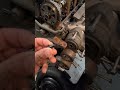 8th gen civic vtc rattle fix.