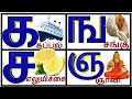 Tamil alphabets|uyir mei ezuthukkal| ka kappal ka karadi|க ங ச ஞ| தமிழ் உயிர்மெய் எழுத்துக்கள்