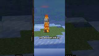 Torture Skeleton in Minecraft