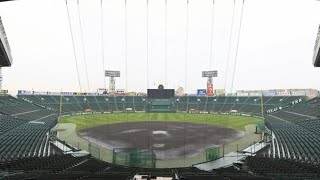 阪神、トラッキーの弟「コラッキー」の入団