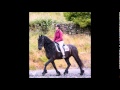 The Friesian Experience, Cartmel, UK