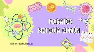 MARATON BIO COMUN