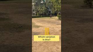 Can you name the tennis ball cricket variation?