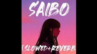 Saibo-(Slowed+Reverb)Mix-Shor-In-The-City-Lofi Flip-Hindi-Song-Love Melody❤️✌️