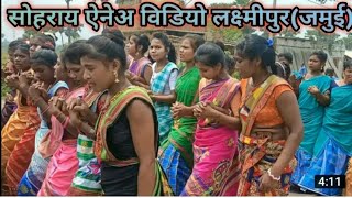 disom sohrai laxmipur ||sohrai video laxmipur 2023|| santhali sohrai video