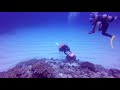 【okinawa diving 絶景】水納島ダイビングが最高すぎた！