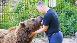 Они снова рядышком🐻❤️