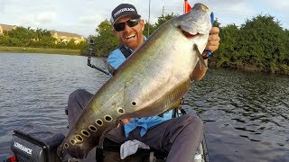 Kayak Fishing: Clown Knifefish in Florida | Field Trips | Field Trips with Robert Field