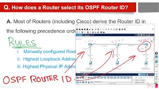 02. How does a Router select its OSPF Router ID?