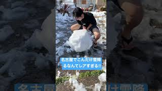 名古屋でこんだけ雪降るなんてレアすぎる！#shorts #日々の記録