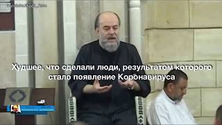 Худшее, что сделали люди, результатом которого стало появление Коронавируса