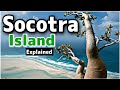 Socotra island Yeman Explained in Urdu InsightFulLensTv