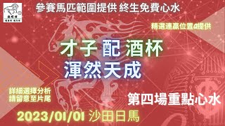 港經佬賽馬貼士及分析｜第四場參賽馬匹資料｜01-01-2023 沙田十一場日馬田草賽事｜免費心水及賽馬貼士｜全方位博彩及投資頻道｜足球｜賽馬｜股票｜樓市 #賽馬貼士