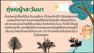 การนำเสนอชีวนิเวศแบบทุ่งหญ้าสะวันนา