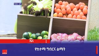 የከተማ ግብርና ልማት