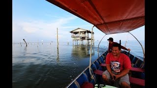 นั่งเรือเที่ยวชมฟาร์มหอยแครง หอยนางรมสดๆ บางตะบูน กับภูษิต โฮมสเตย์