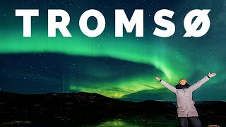Tromsø Norway: chasing the Northern Lights, visiting the Fjords and meeting reindeer!
