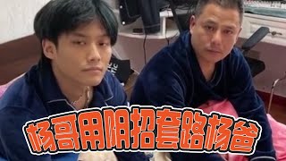 疯狂小杨哥爆笑日常合集：杨哥用阴招套路杨爸，杨妈入场！笑尿全国网友 #疯狂小杨哥 #爆笑名场面 #搞笑日常