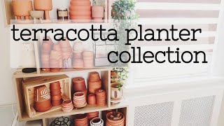 My Terracotta Plant Pots Collection