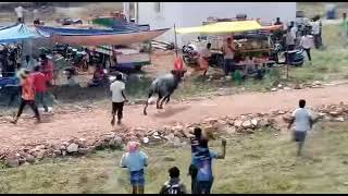 Athiganoor eruthukattu funny moment