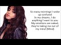 Camila Cabello - Shameless (LYRICS)