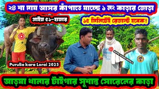 আড়ষা থানার টাইগার সুশান্ত সোরেনের কাড়া আসর কাঁপাতে যাচ্ছে ২৪ মাঘ♨️১৫ মিনিটেই রেজাল্ট হবেক!