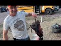 quick way to clean a pheasant – outdoors with trav