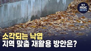 소각되는 낙엽.. 지역 맞춤 재활용방안은?(뉴스투데이 2023.11.02 광주MBC)