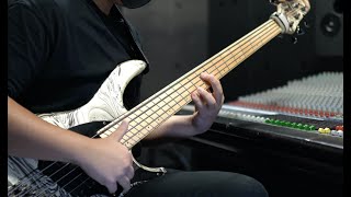 【INTERVALS】Rubicon Artist (Bass cover & my Parallax setting)