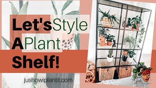 Plant Styling 101- How To Style A Plant Shelf With Houseplants